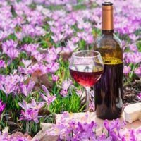 El secreto que une a las flores y el vino